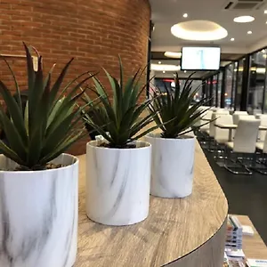 Hotel Victor Hugo Toulouse
